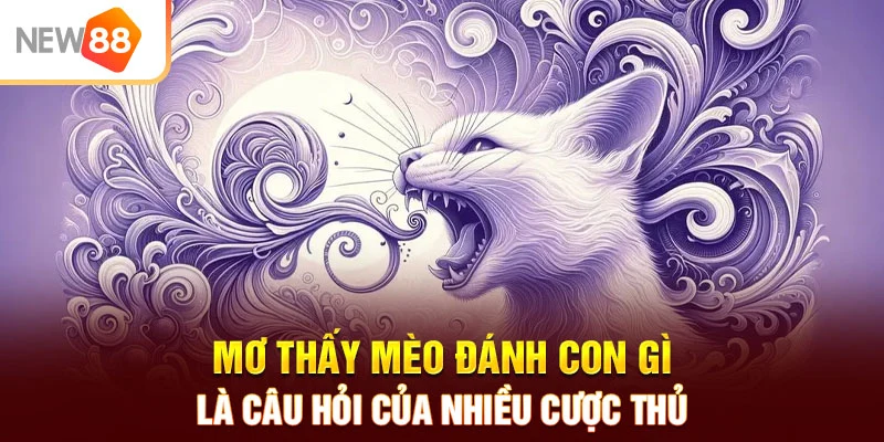 Mơ thấy mèo đánh con gì là câu hỏi của nhiều cược thủ