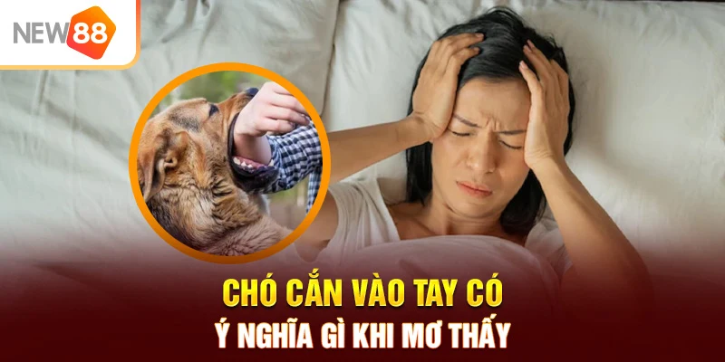 Chó cắn vào tay có ý nghĩa gì khi mơ thấy