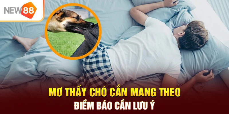 Mơ thấy chó cắn mang theo điềm báo cần lưu ý