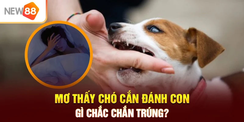 mơ thấy chó cắn