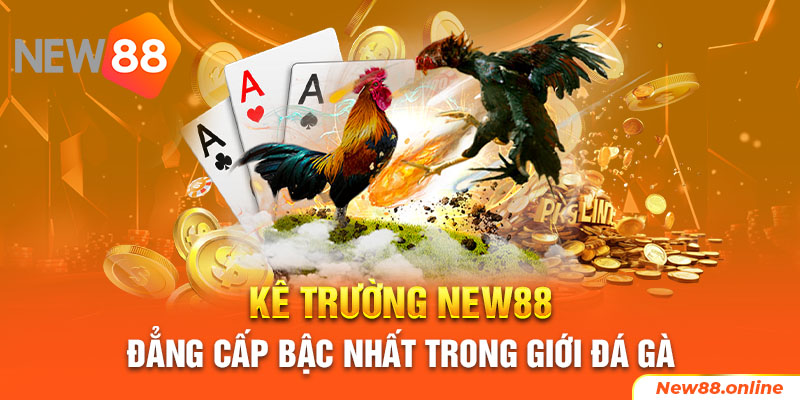 NEW88 - Nơi cảm xúc không giới hạn