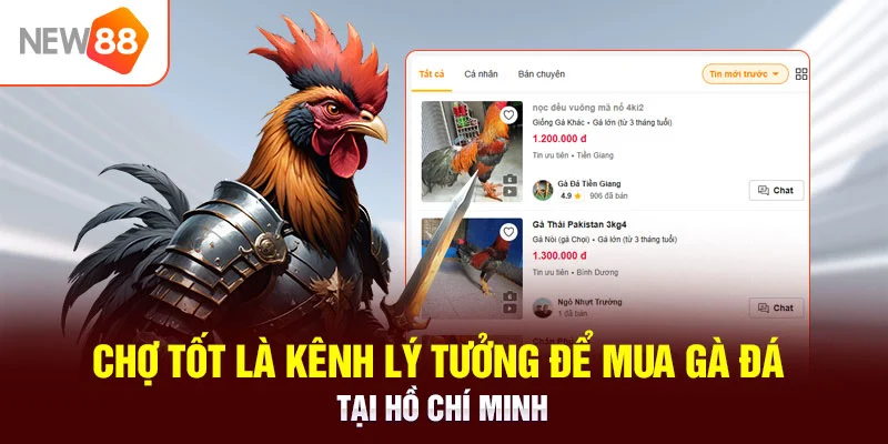 Chợ tốt là kênh lý tưởng để mua gà đá tại Hồ Chí Minh