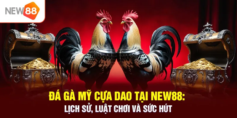 đá gà mỹ cựa dao