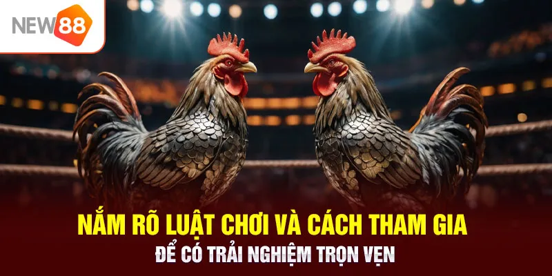 Nắm rõ luật chơi và cách tham gia để có trải nghiệm trọn vẹn