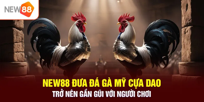 NEW88 đưa đá gà Mỹ cựa dao trở nên gần gũi với người chơi