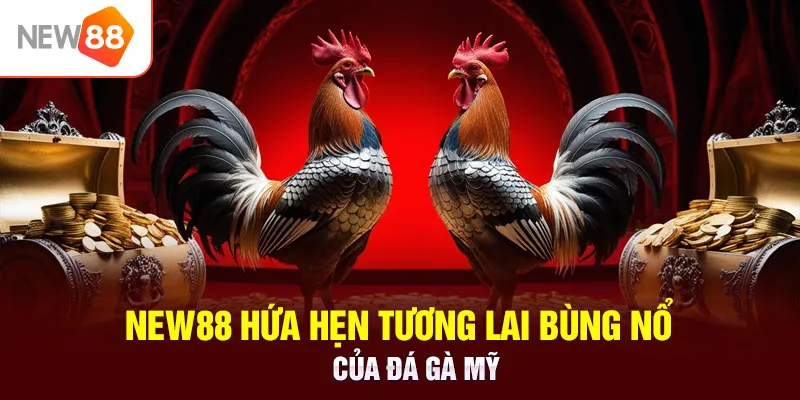 NEW88 hứa hẹn tương lai bùng nổ của đá gà Mỹ