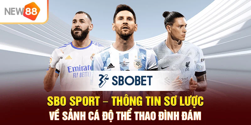 SBO Sport - Thông tin sơ lược về sảnh cá độ thể thao đình đám