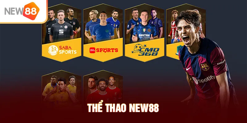 Thể thao NEW88