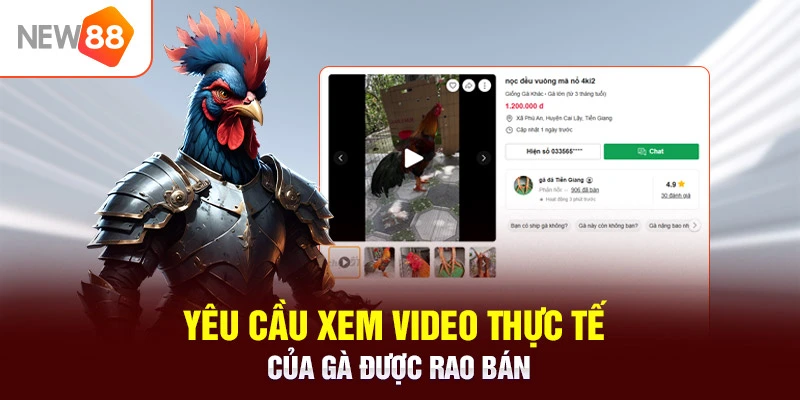 Yêu cầu xem video thực tế của gà được rao bán